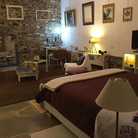 Loft Atypique Bed & Breakfast Villeneuve-de-Riviere Ngoại thất bức ảnh
